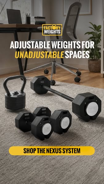 A Full Gym That Fits a Corner