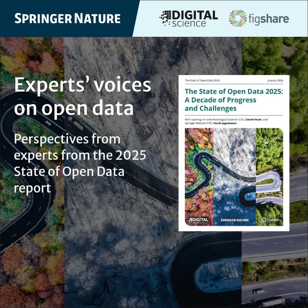 Experts' voices on open data