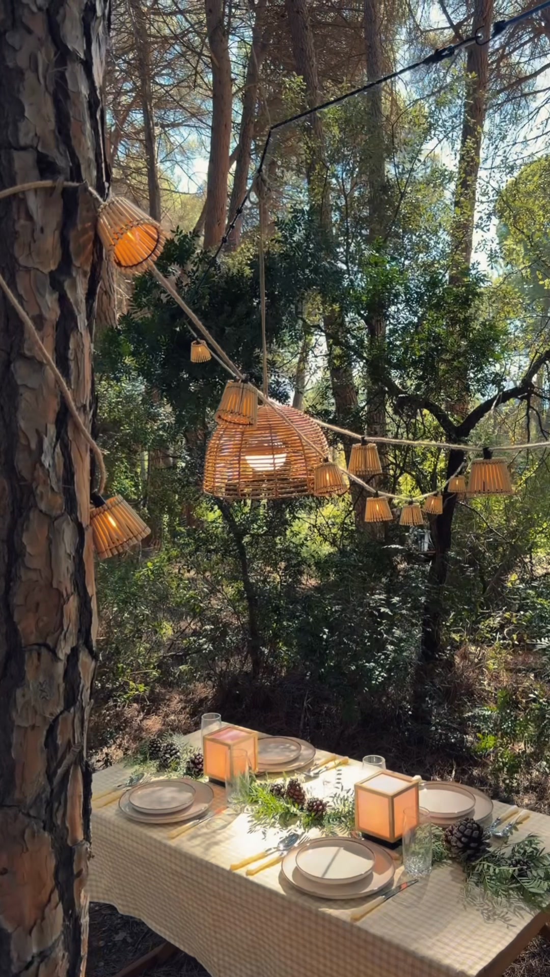 Une lumière qui donne envie de rester