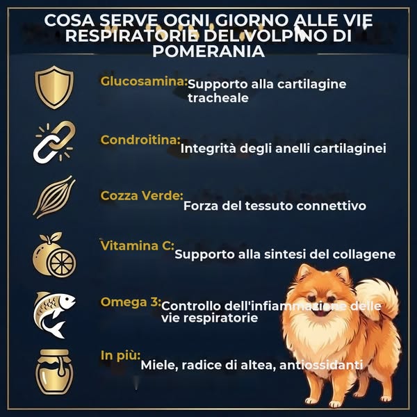 Lo sciroppo per la tosse del tuo Pomerania agisce sulla cosa sbagliata