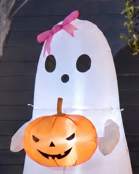 Halloween - Collections