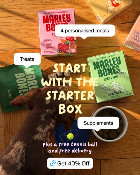 Get 40% off your Starter Box!