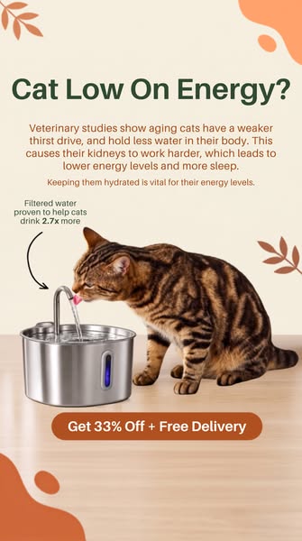 The Fountain Proven to Help Cats Drink More Water