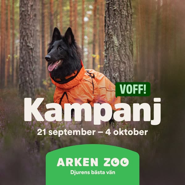 Till kampanjen