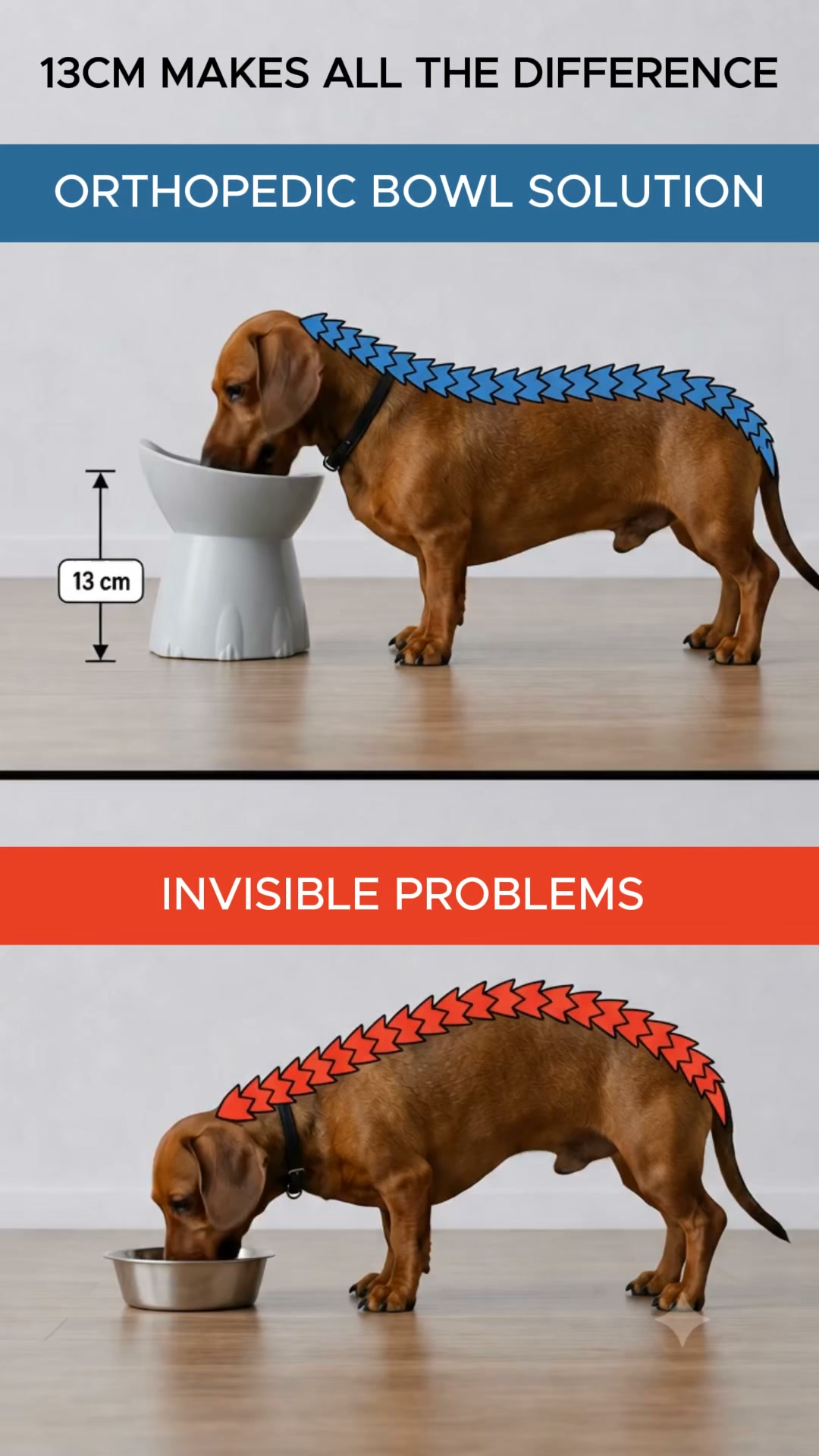 Orthopedic Bowl