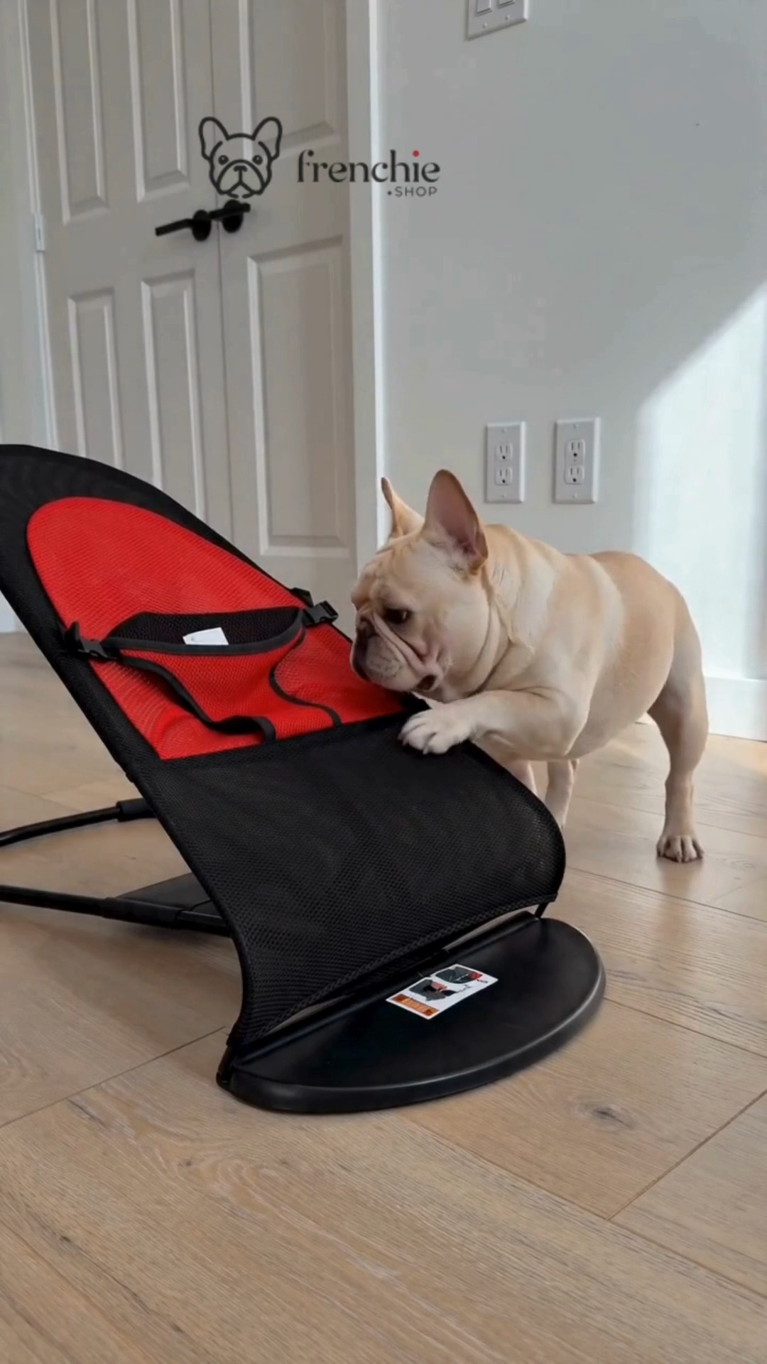 Anúncio de Frenchie Shop