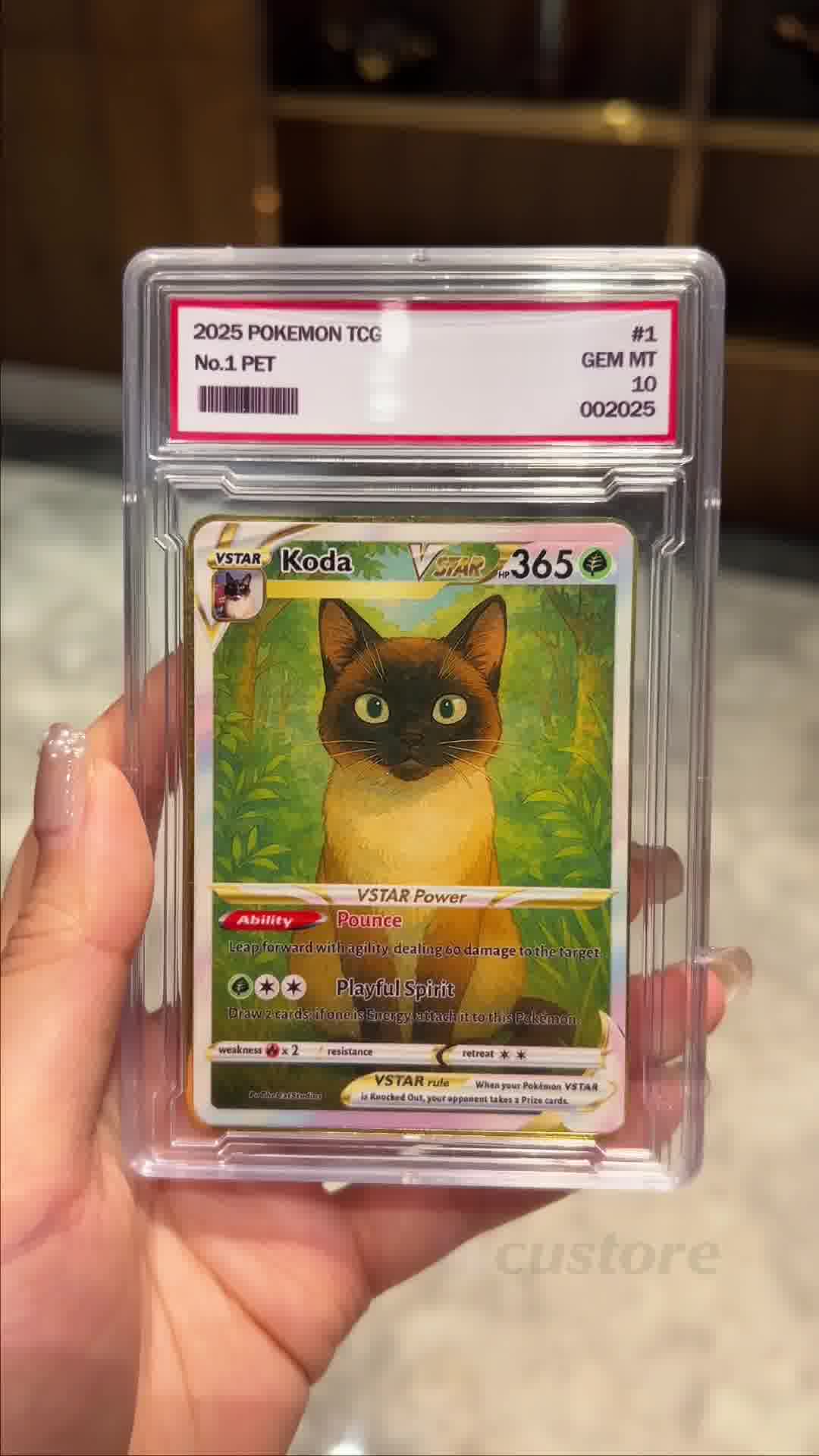Whose Pet Would Win in a (Cute) Battle? vs.