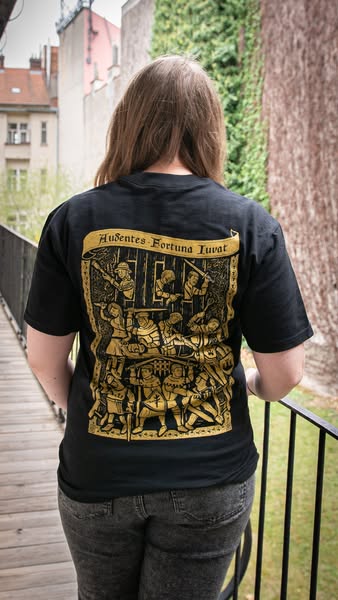 Do you love the story of Henry of Skalitz?
