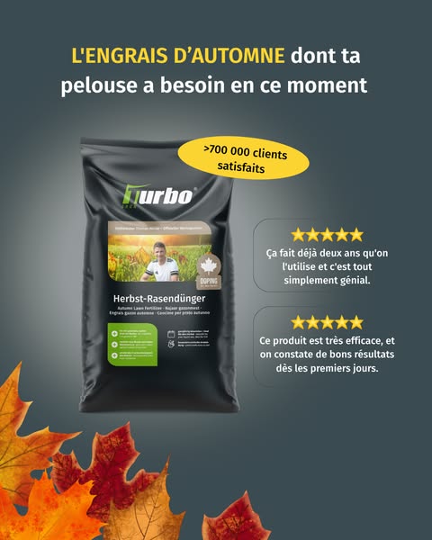 Sauver son gazon après l'été