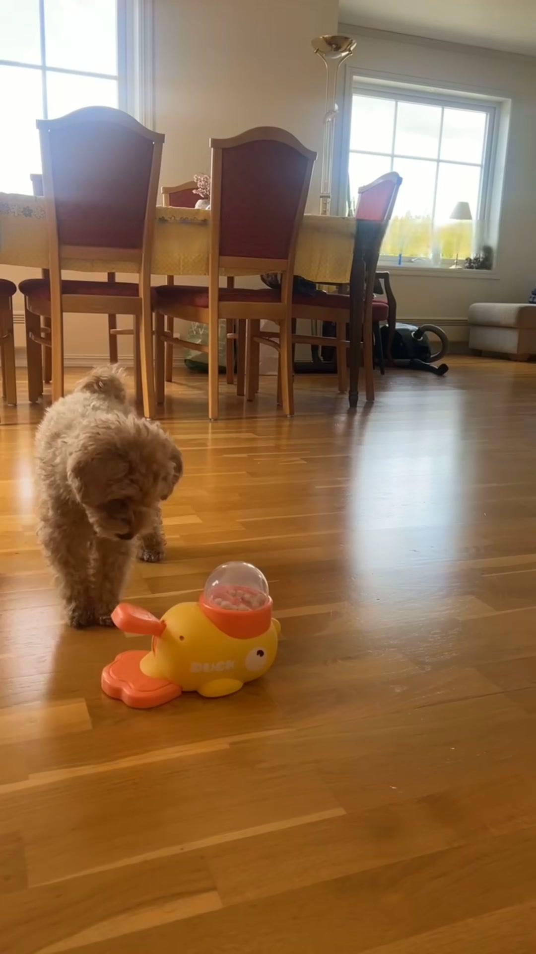 Maak van eten een leuk én slim spel!