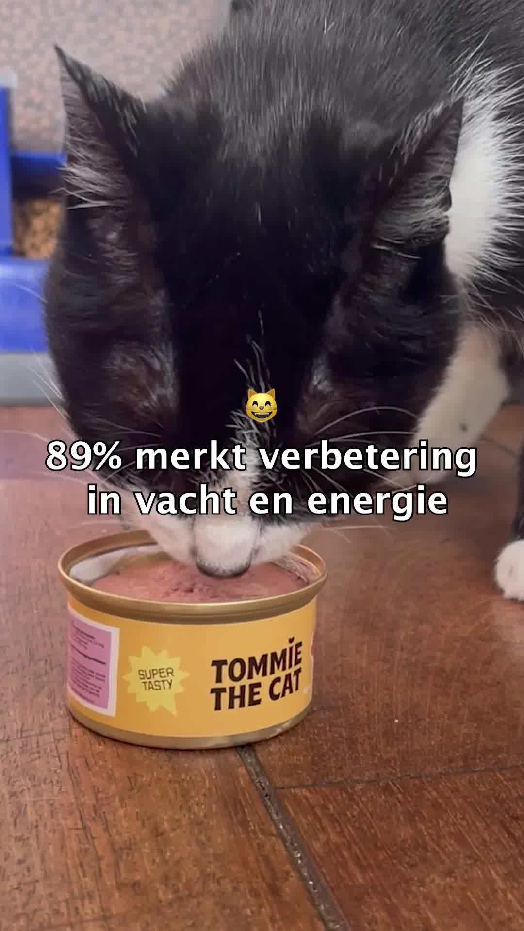 Vers & graanvrij kattenvoer