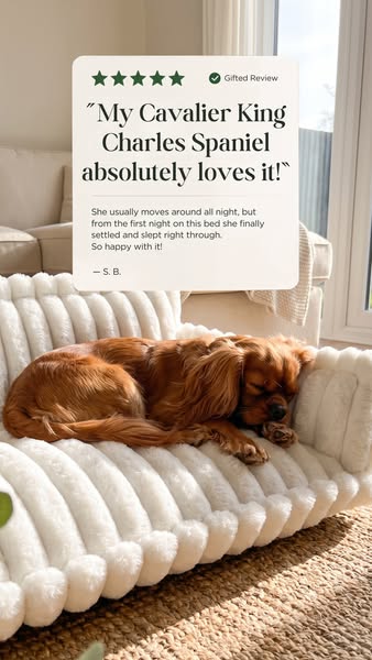 Made for them. Styled for your home.
