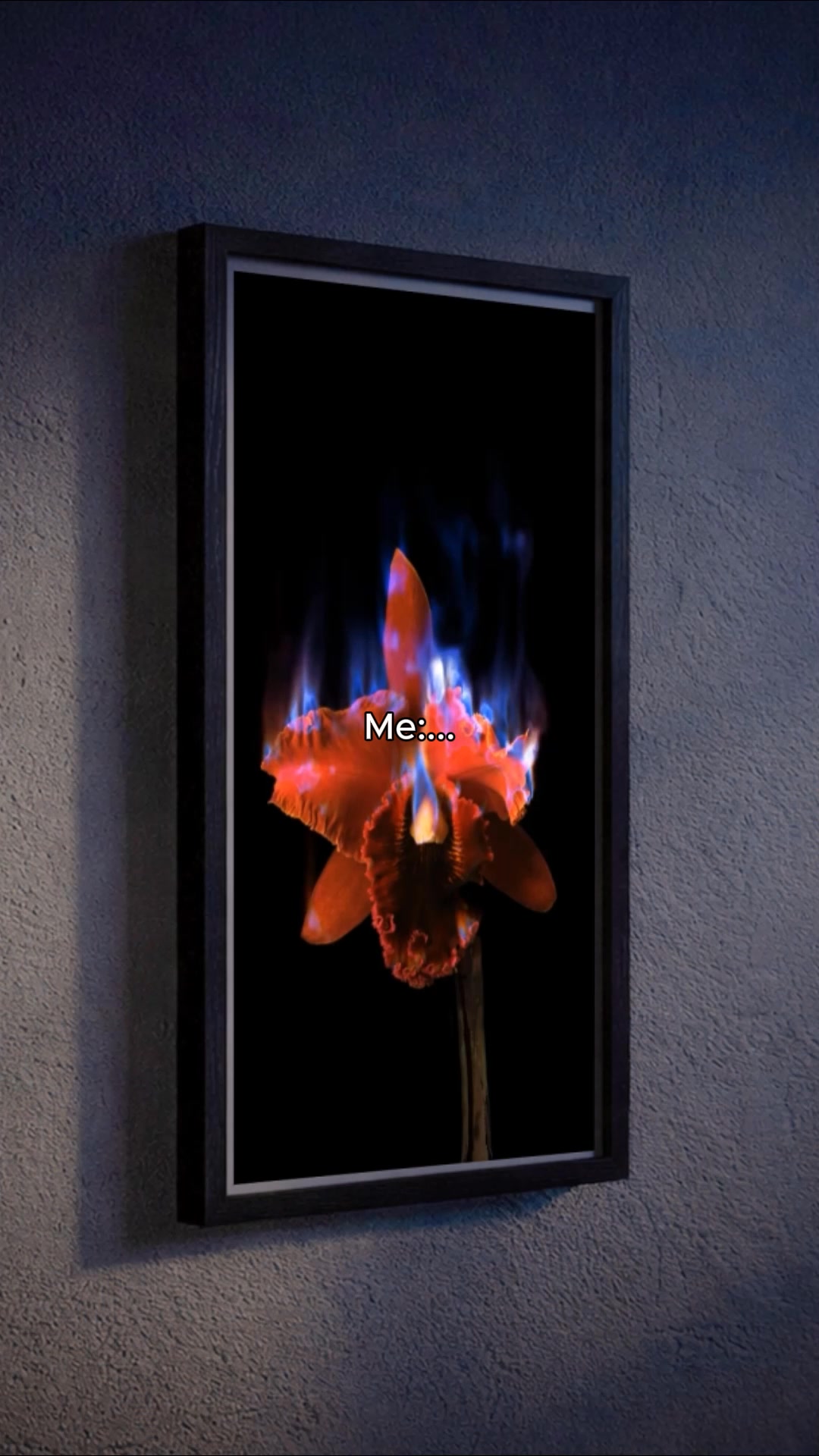 Bring Art to Life in Your Home.