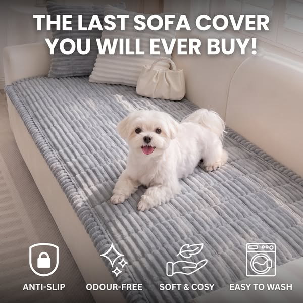 The Sofa Saver Dogs Actually Love