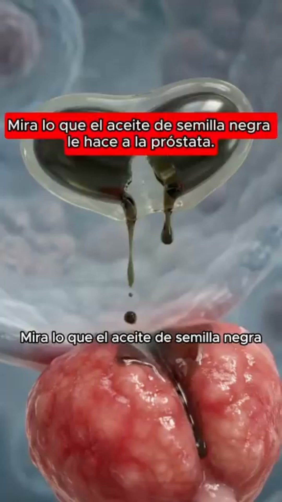 El apoyo natural más concentrado que tu cuerpo estaba esperando.