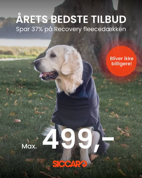 CRAZY AUTUMN: Spar op til 50% på Siccaro.dk