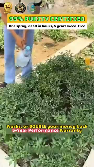 Highly effective—double your money back if it doesn't work.