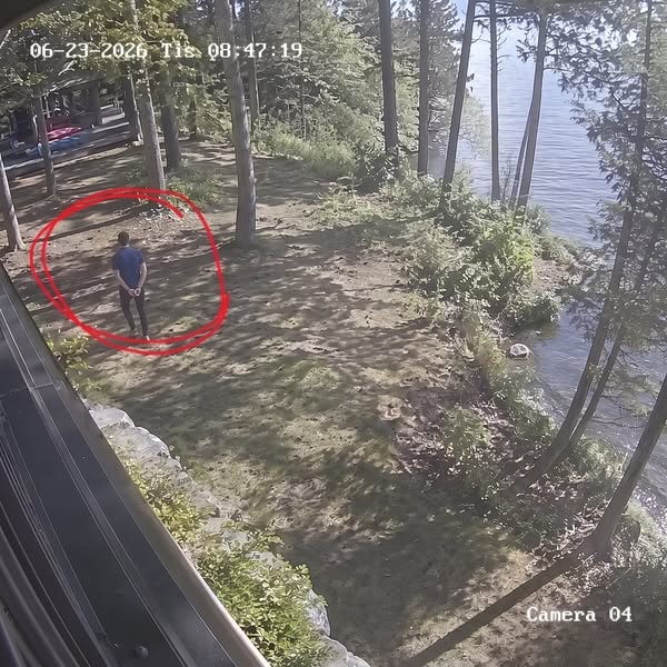 Är du förälder eller mor-/farförälder? Läs det här