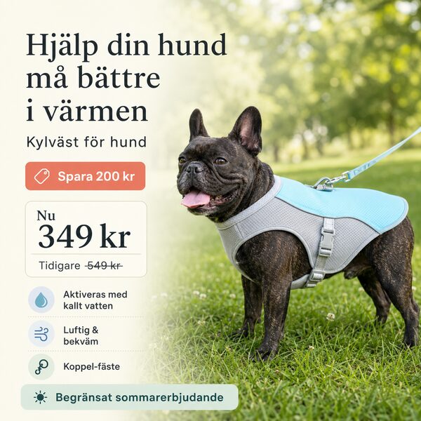 Hjälp din hund i sommar – spara 200 kr