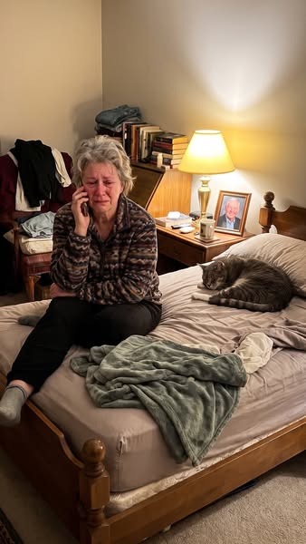 Read this before your cat's dental appointment