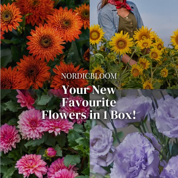 Your garden finally looks alive again