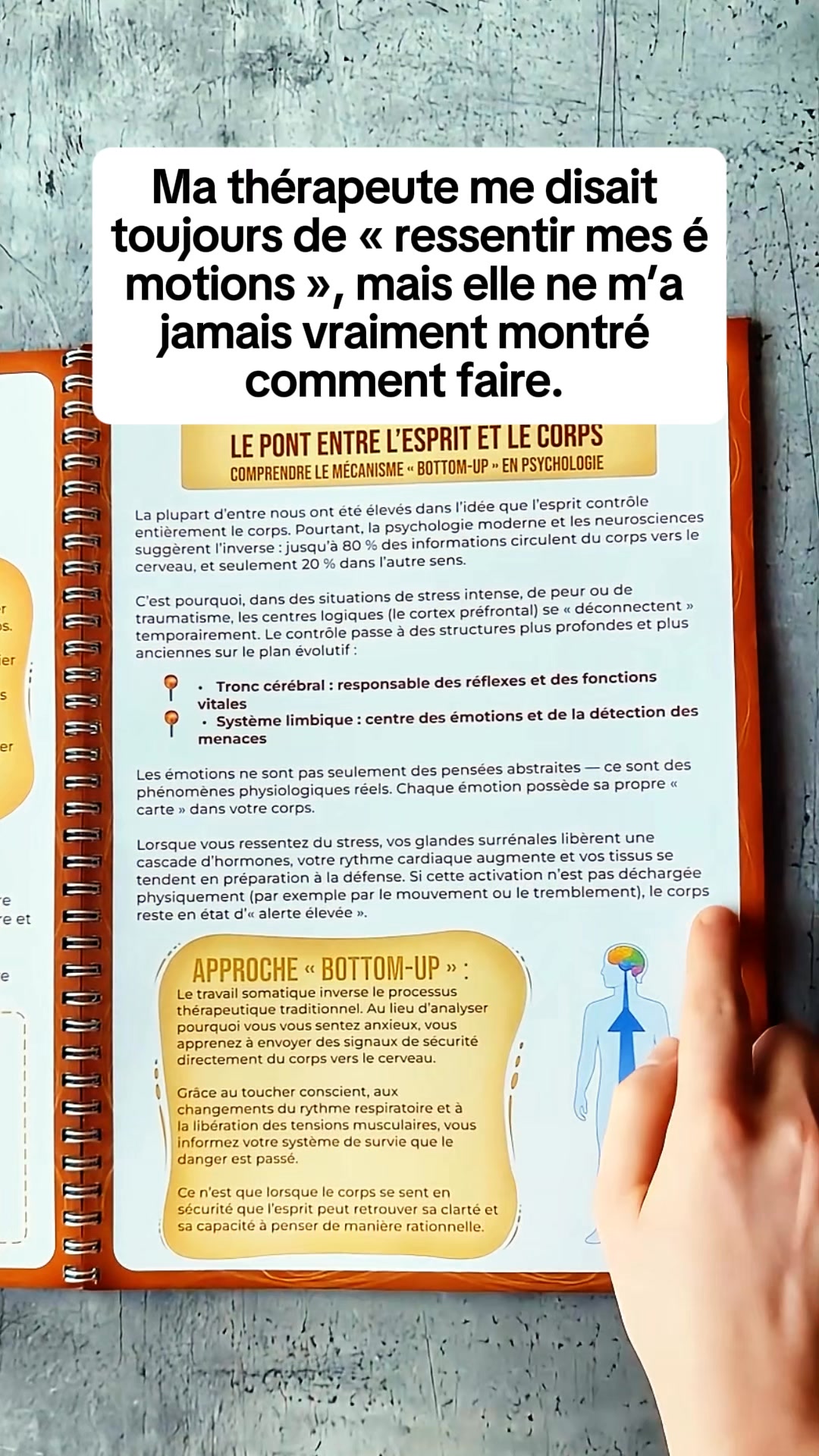 Cahier d’Exercices de Thérapie Somatique