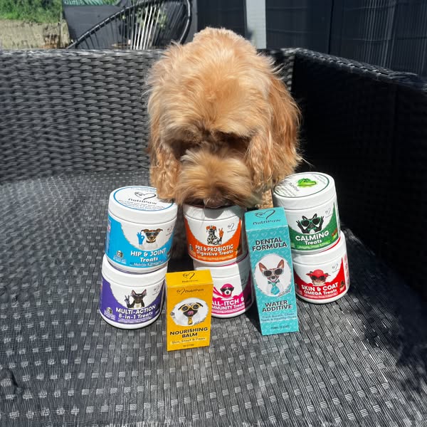 Vets Love It. Dogs Love It. Owners Trust It.