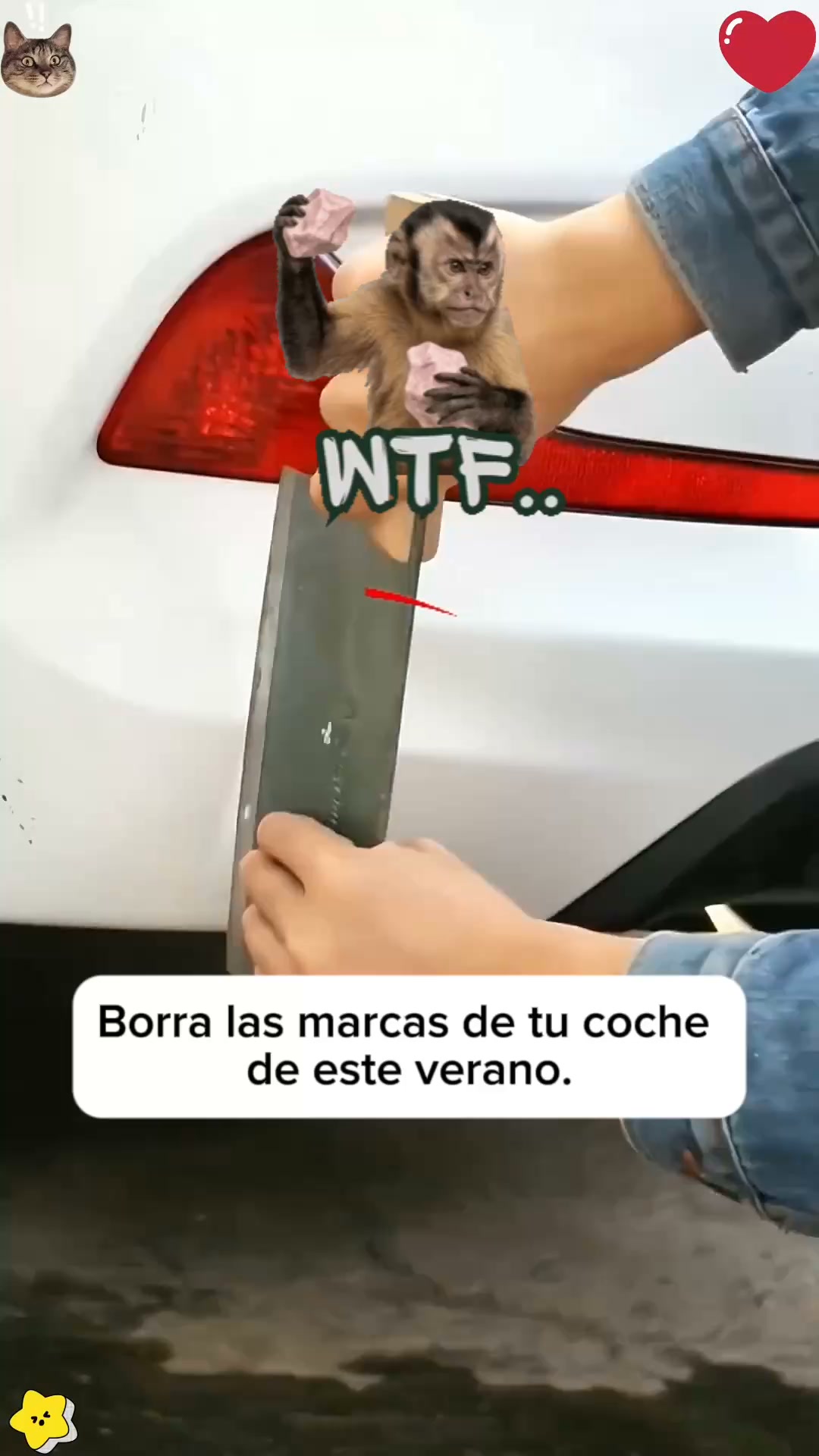 ENVÍO GRATIS 24h