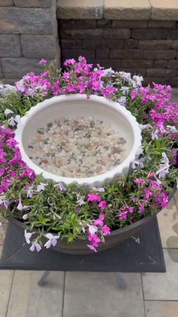 Rinfresca il tuo giardino d'estate