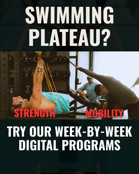 Train Like an Olympian with Our Dryland Program