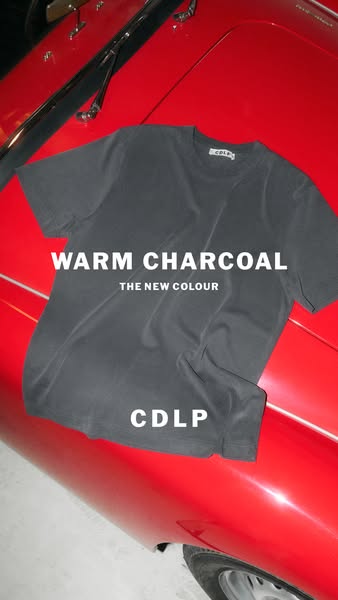 CDLP RIB