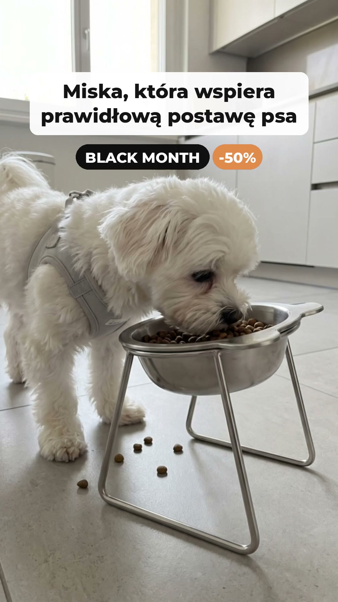 Black Month: druga miska GRATIS