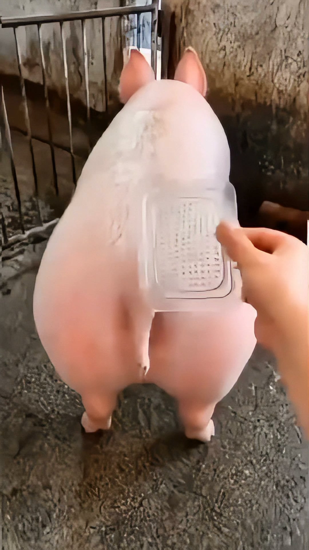 Die neue Generation der Nano-Mikronadel-Pflaster!