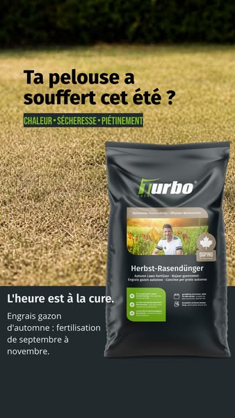 Sauver son gazon après l'été