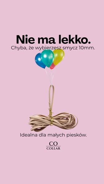 Lekka smycz na codzienne spacery