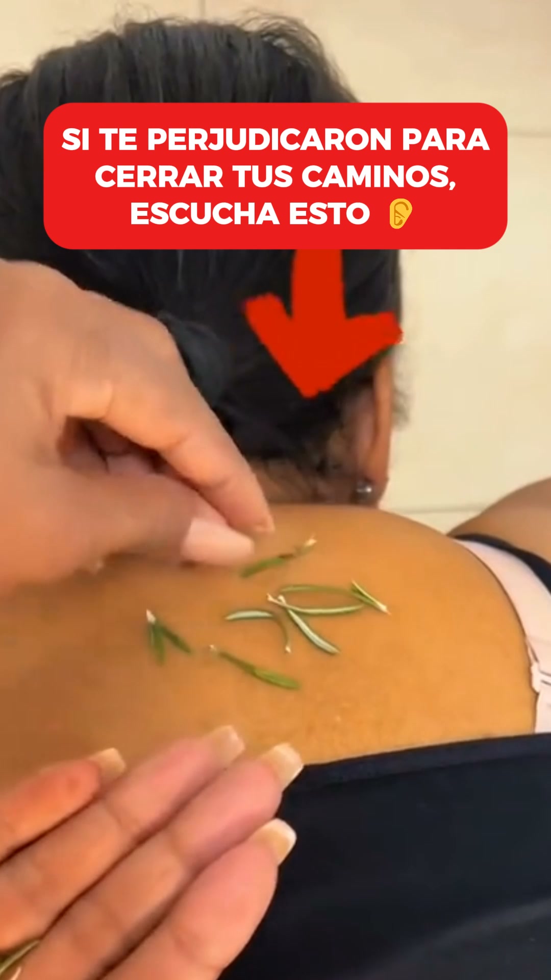 Guía de Autocura Energética