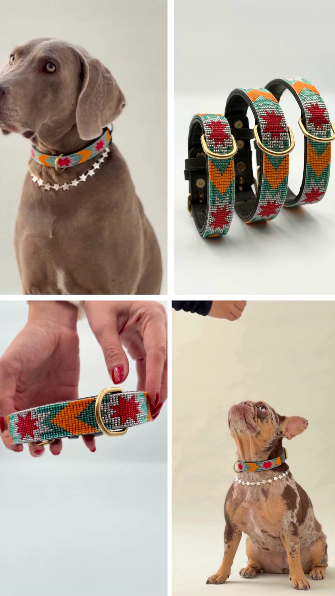 Pipoca Dogwear
