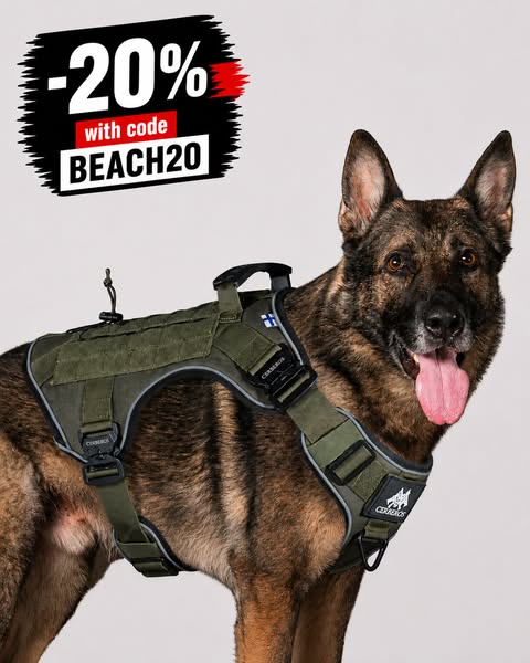 20% With Code BEACH20