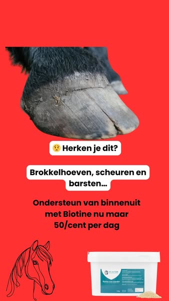 Nu met tijdelijke korting