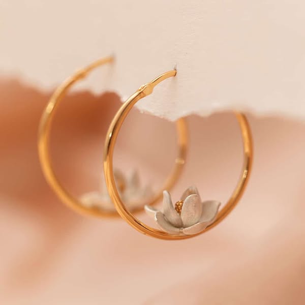 Magnolia creoler