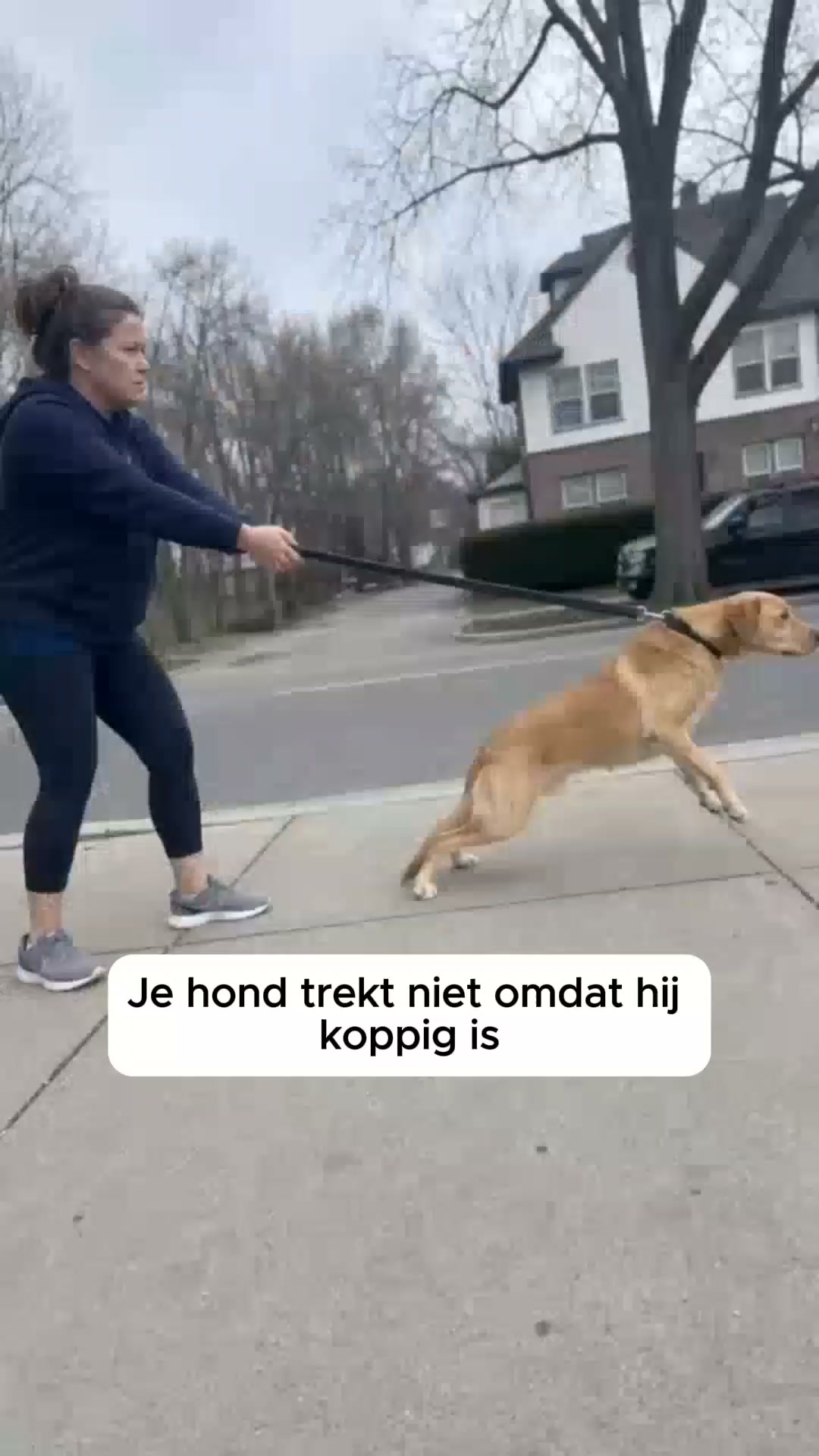 Onze Grootste Korting Ooit, Vóór We Uitverkocht Zijn