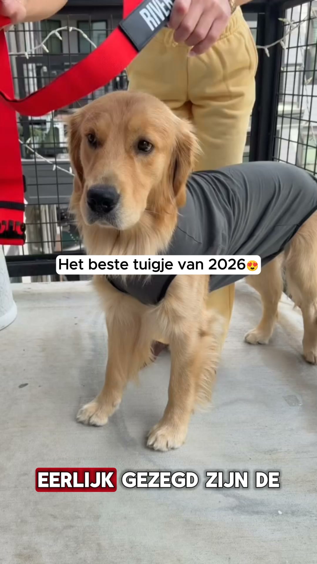 Vandaag 50% Korting + Gratis Verzending!