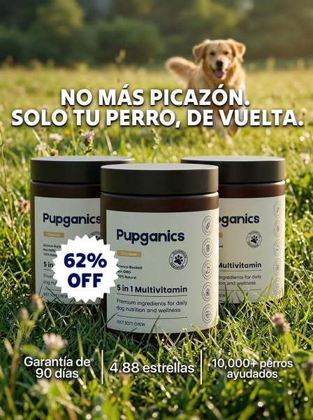 Algo que de verdad funciona