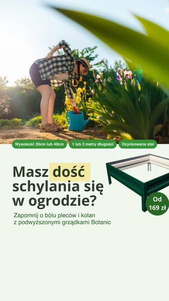 Darmowa dostawa
