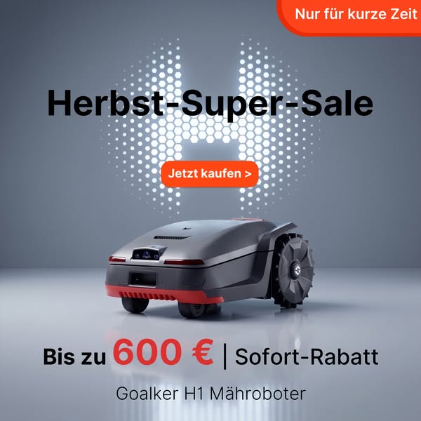H1 699 € + 50 € extra sparen