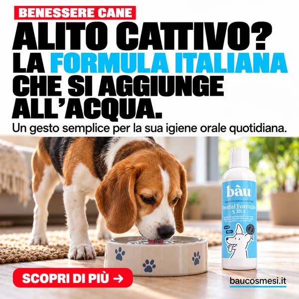 Dental Formula 5 in 1