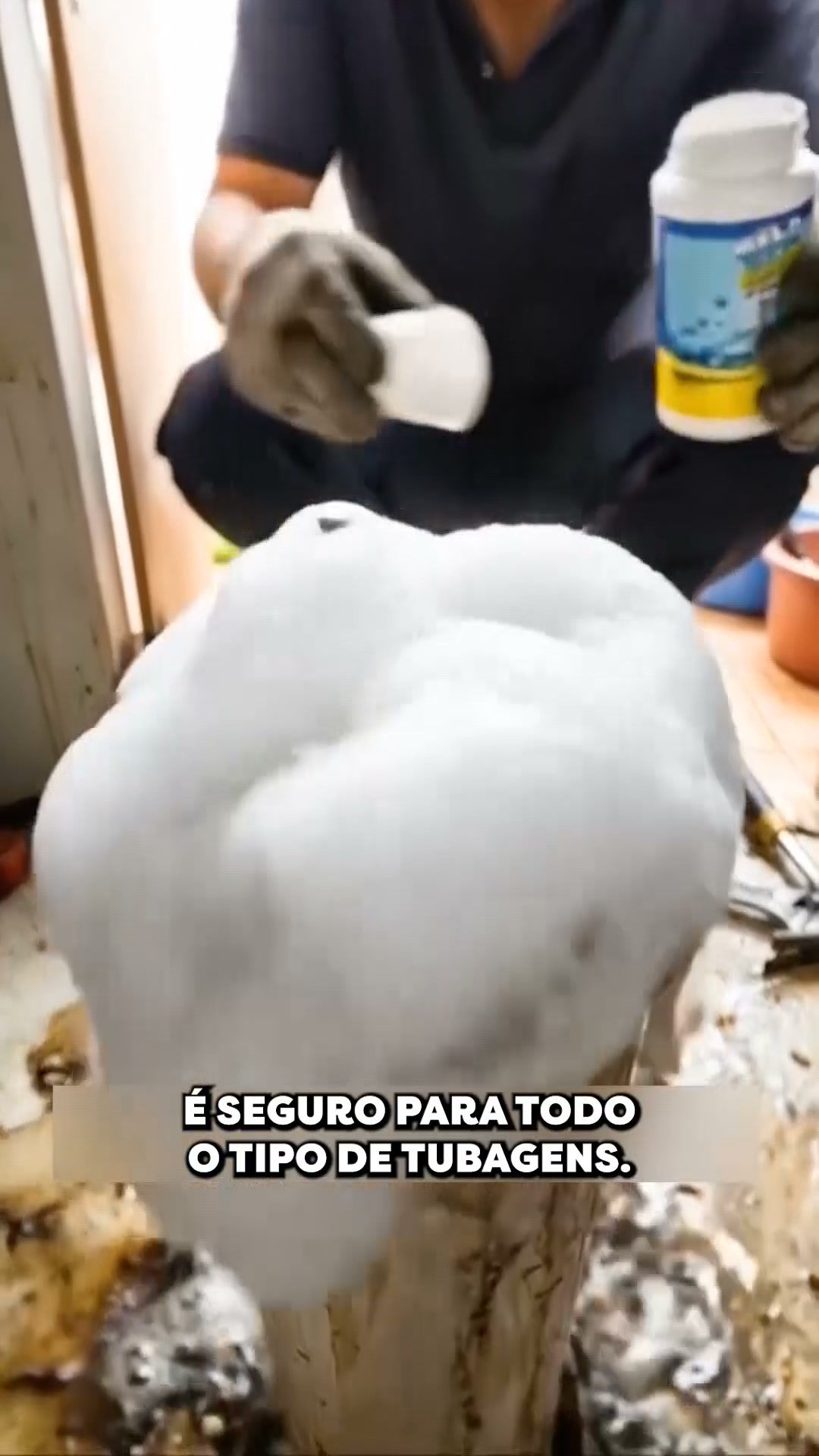 WildTornado