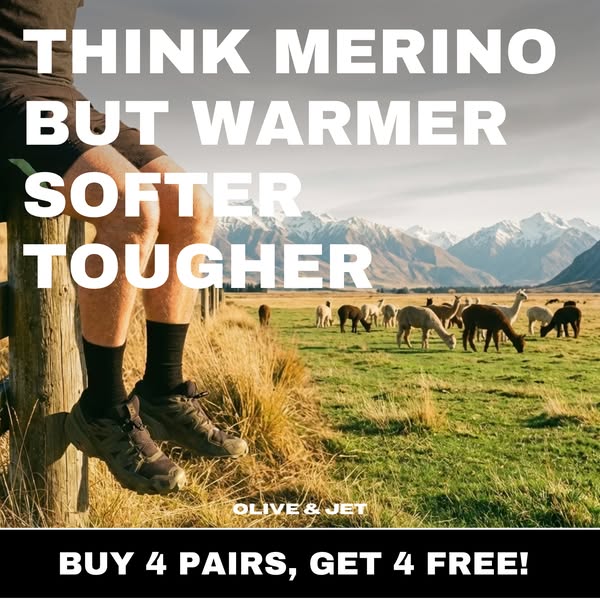 Alpaca Socks