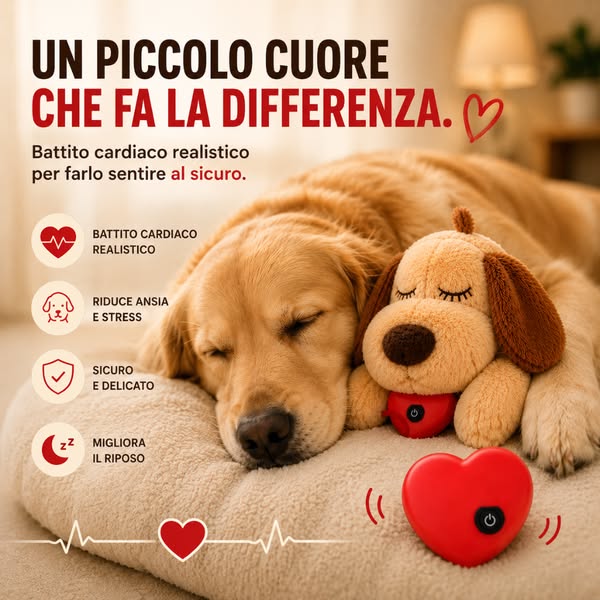 Spedizione Gratuita