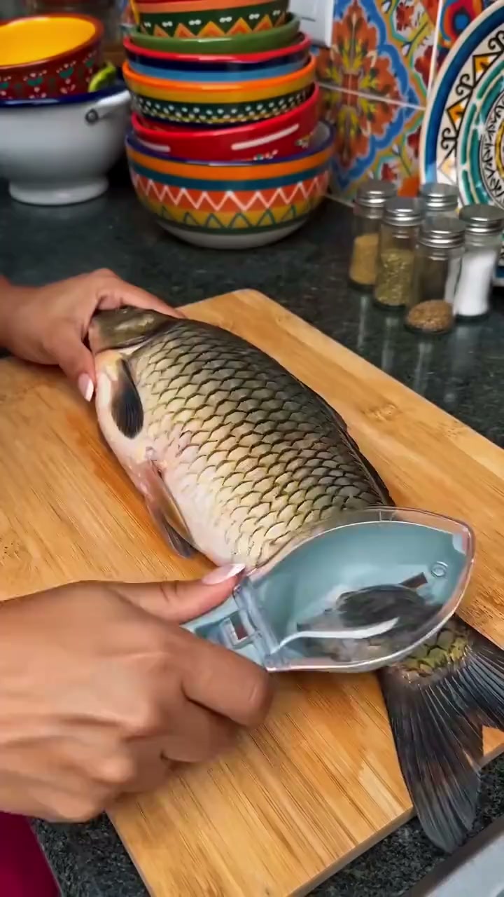 Fish Scaler Tool with Scale Catcher | Easy Fish Prep